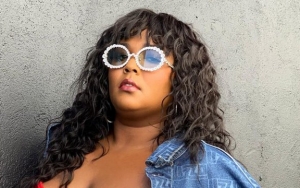 Lizzo Likens Comments About Her Body to 'Little Mosquito Bite'