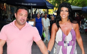 Teresa Giudice Wants to Date Rich Man Amid Joe's Looming Deportation