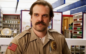 David Harbour FaceTimes 'Stranger Things' Creators to Find Out Hopper's Fate