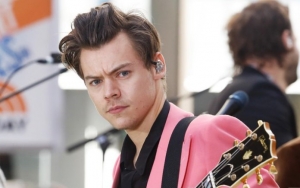 Harry Styles' Fans Convinced He Comes Out as Bisexual in New Song 'Lights Up'