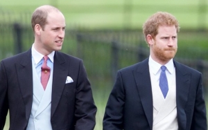Prince Harry Addresses Tension With Brother Prince William: 'Stuff Happens'