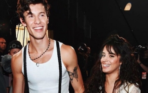 Camila Cabello Hilariously Debunks Shawn Mendes Split Rumors With This Post