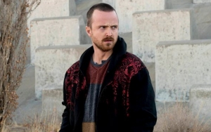 Aaron Paul Spills No One Wanted Him for 'Breaking Bad'