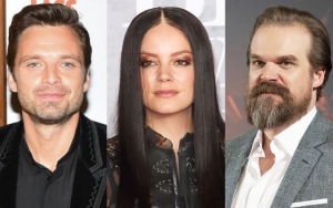 Sebastian Stan Confesses to Googling Lily Allen Over David Harbour Romance