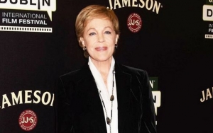 Julie Andrews Turned Down 'Wolf of Wall Street' Because of This