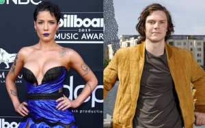 Halsey Confirms Dating Rumors by Holding Hands With Evan Peters and Wearing His Shirt