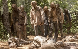 'The Walking Dead' Broadcaster Suing 'The Toking Dead' Creators