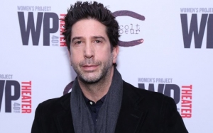 Brick-Wielding Visitor at David Schwimmer's Home Arrested