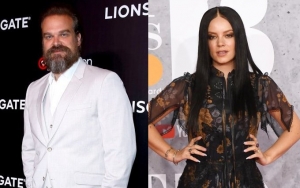 David Harbour Calls Girlfriend Lily Allen 'Princess' in This Sweet Photo