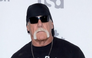 Hulk Hogan Left Shaken by Scary Emergency Airplane Landing 