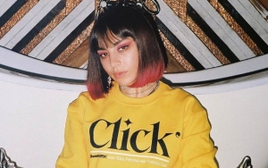 Charli XCX Insists Her Fans Have Never Been 'Abusive' Towards Her Despite Reports
