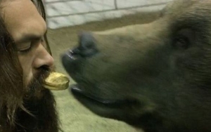Jason Momoa Sparks Outrage After Posting Grizzly Bear Video