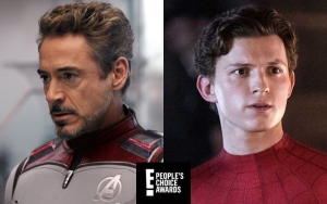 People's Choice Awards 2019: 'Avengers: Endgame' and Marvel Dominate Full Winner List in Movie