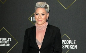 Pink to Take Time Off From Music to Focus on Family