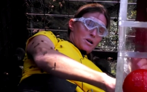 Watch: Caitlyn Jenner Looks Calm While Being Surrounded by 30K Cockroaches on 'I'm a Celebrity'