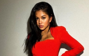 Chris Brown's Rumored Girlfriend Ammika Harris Coyly Responds to Baby Speculation