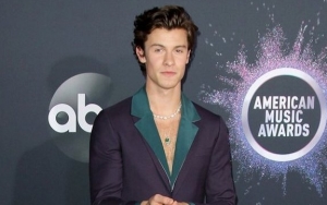 Shawn Mendes Apologizes for Calling off Concert Due to Laryngitis