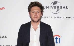 Niall Horan Recalls Being Asked for A Selfie at the Urinal 