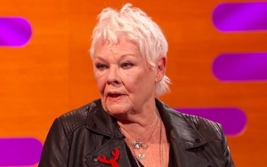Judi Dench: My 'Cats' Character Reminds Me of My Huge Orange Bruiser Pet   