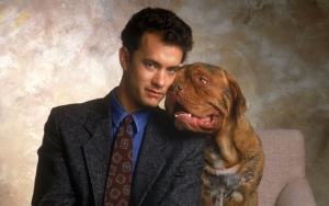 Tom Hanks' 'Turner and Hooch' to Get TV Series Treatment?