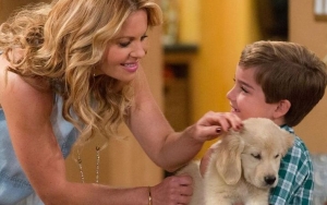 Candace Cameron Bure and Castmates Mourning the Loss of 'Fuller House' Dog
