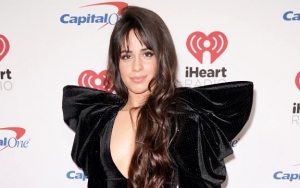 Camila Cabello's Past Racist Tumblr Posts Surface Online