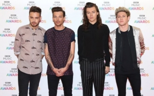 Liam Payne Tips on Possible One Direction Documentary for 10-Year Anniversary 