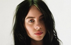 Billie Eilish Shares Bikini Pictures of Her Hawaiian Getaway