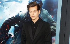 Harry Styles Warms Hearts With Revelation He Volunteered to Watch Stranger's Dog 