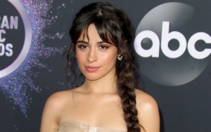 Camila Cabello Looks Back at Memories She Made From Debut Album on Its 2nd Anniversary