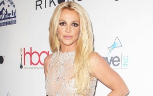 Britney Spears' Fans Stage Protest Over Conservatorship Outside Los Angeles Court