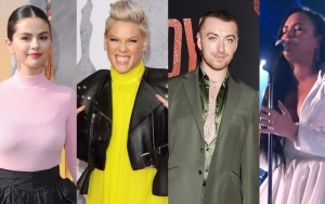 Selena Gomez, Sam Smith and Pink Rave Over Demi Lovato's Emotional Grammys Performance