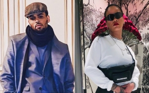 Chris Brown Accused of Being Obsessed With Rihanna After Professing Unconditional Love for 'Her'