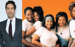 David Schwimmer Roasted Over Comments of 'All-Black' Version of 'Friends': Heard of 'Living Single'?