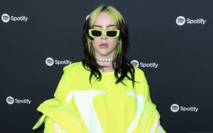 Billie Eilish Calls Out Fans for Impersonating Her in Public: It's Mean and Disrespectful