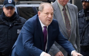 Harvey Weinstein's Accuser Is Accused of Manipulation, Details on 'Golden Shower'
