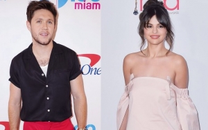 Niall Horan Deems Selena Gomez Dating Rumors 'Absolute Useless Nonsense'