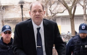 Harvey Weinstein's Lawyer Calls Rape Accusers Clout-Chasers in Closing Argument