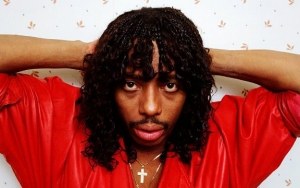 Rick James' Estate Hit With Lawsuit Over Past Sexual Assault of a Minor 