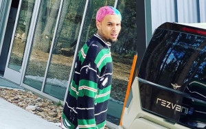 Chris Brown Irritates People for Bragging About STD-Free After 'Long Weekend of Partying'