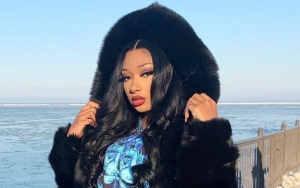 Megan Thee Stallion's Planned Album Release to Be Blocked by Record Label