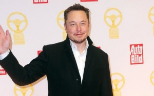 Coachella Fires Back at Elon Musk for Dissing Festival Following Postponement Announcement