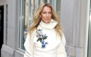 Celine Dion's Illness Leading to Postponement of Two Shows Not Related to Coronavirus 