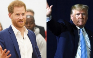 Prince Harry Allegedly Roasts Donald Trump for Ignoring Global Warming