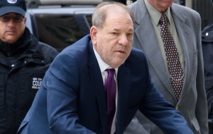 Harvey Weinstein Hit With New Sexual Assault Lawsuit