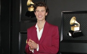 Shawn Mendes Hands Out $175K to Toronto Charity in Light of Coronavirus Crisis