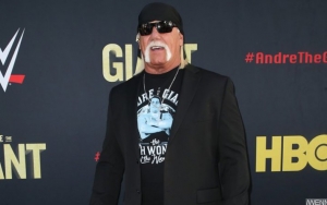 Hulk Hogan Tells People Not to Rely on Vaccine in Bizarre Religious Post Amid Coronavirus Pandemic