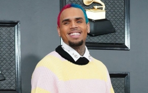 Video Shows Chris Brown 'Knocked Out' After Alleged Threesome
