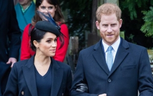 Meghan Markle and Prince Harry Out of Self-Isolation Again to Walk Dogs