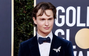 Ansel Elgort News Articles and Daily Gossips